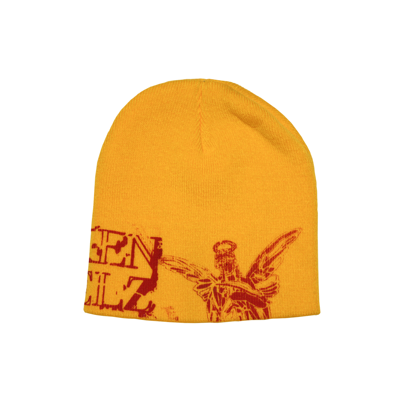 Perspectivez Beanie